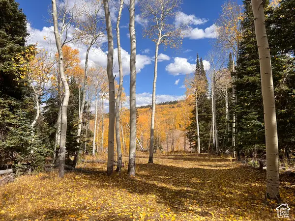 1022 Dry Lakes Rd #12, Brian Head, UT 84719
