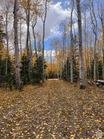 1022 Dry Lakes Rd #12, Brian Head, UT 84719 - #2