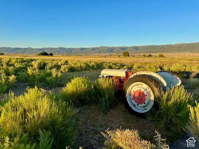 16500 N 6400 E, Mount Pleasant, UT 84647 - #2