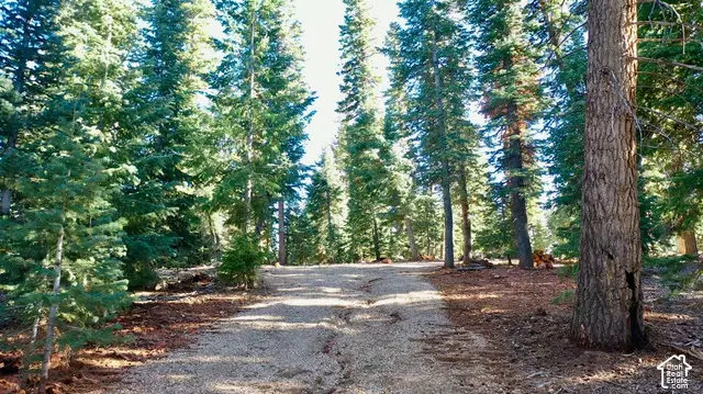 1 Meadowranch Dr #1, Duck Creek Village, UT 84762 - #1