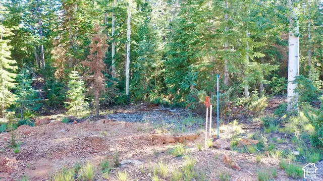 1 Meadowranch Dr #1, Duck Creek Village, UT 84762 - #2