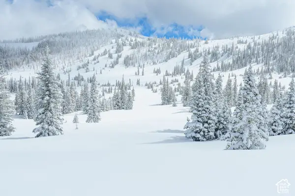 0 #10, Brian Head, UT 84719