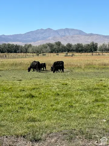 Address Withheld By Seller, Goshen, UT 84633