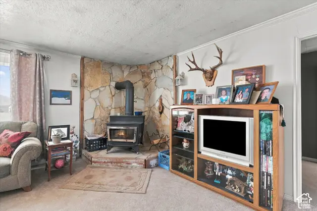 4598 S 4600 W, Malad City, ID 83252 - #3