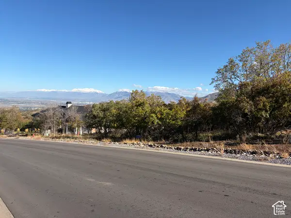 1007 S Summit Dr #168, Woodland Hills, UT 84653