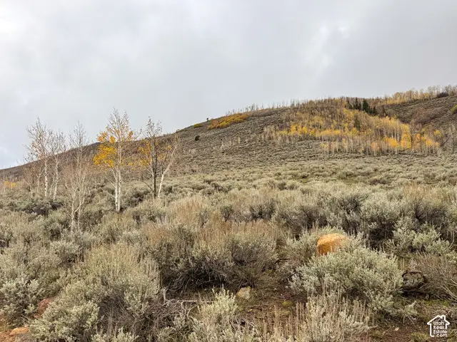 5655 N Dry Valley Rd #74, Scofield, UT 84526 - #3