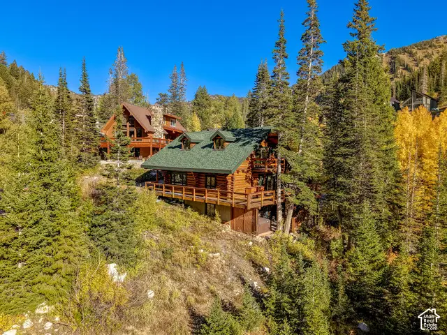 9870 E Perruvian Acre Rd, Alta, UT 84092 - #2