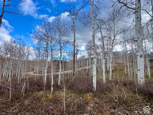 11616 E Cliffrose Dr #1836, Heber City, UT 84032