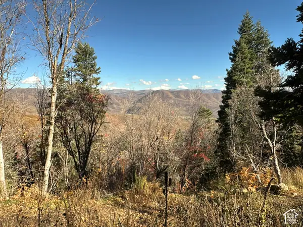 5946 E Upper Whitmore N #99, Springville, UT 84663