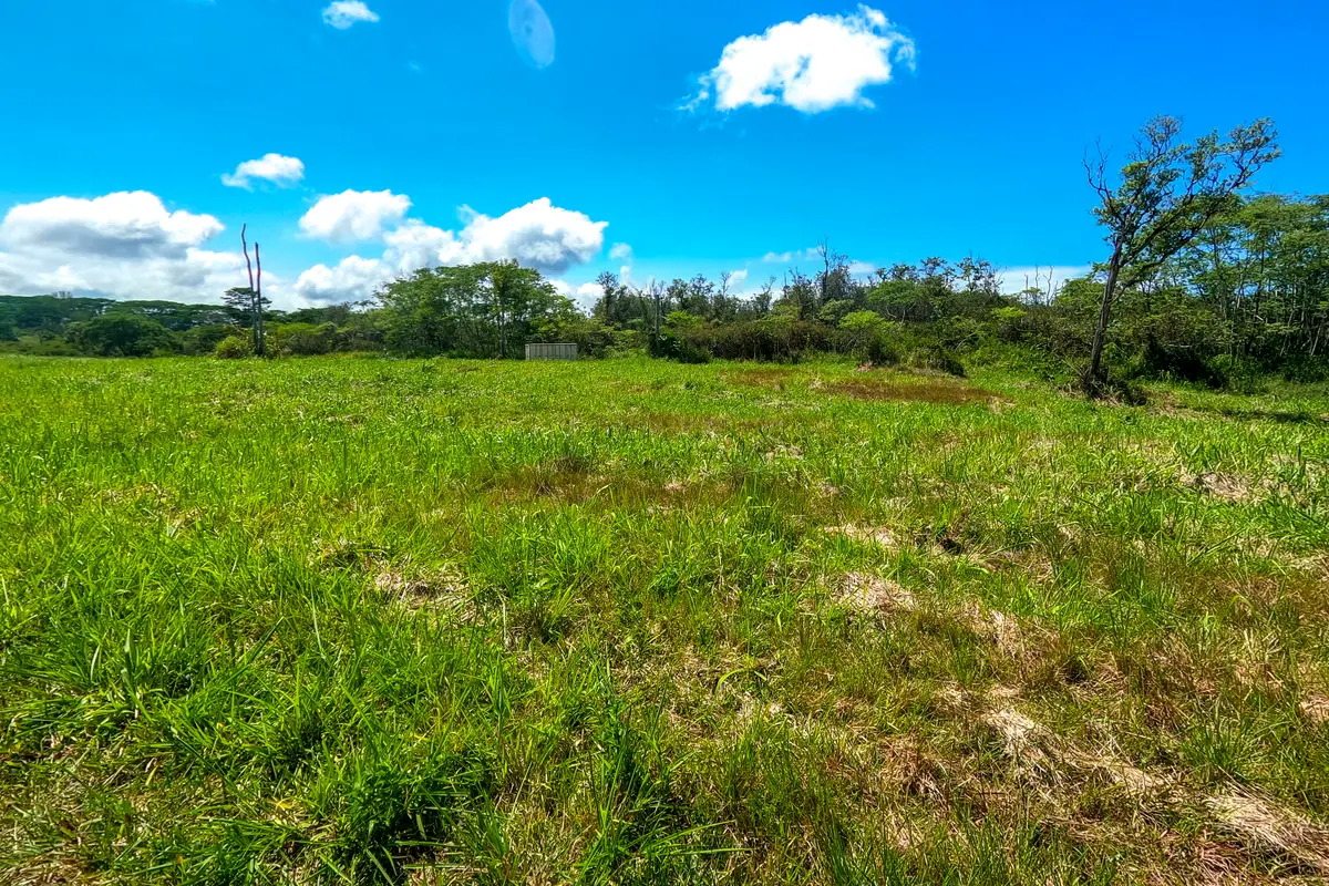 17-820 Manaolana Road, Kurtistown, HI 96760 - #1