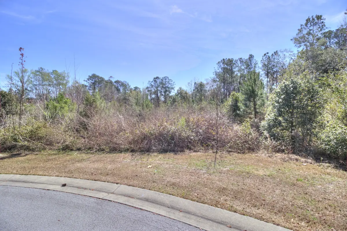 TBD SE 41st Street Se, Ocala, FL 34480 - #1