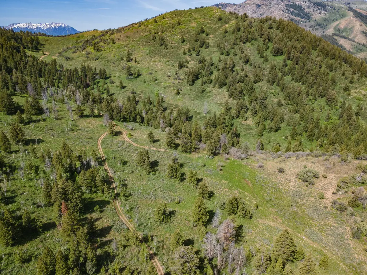 40 Sunridge, Huntsville, UT 84317 - #1