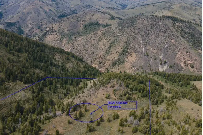 40 Sunridge, Huntsville, UT 84317 - #2