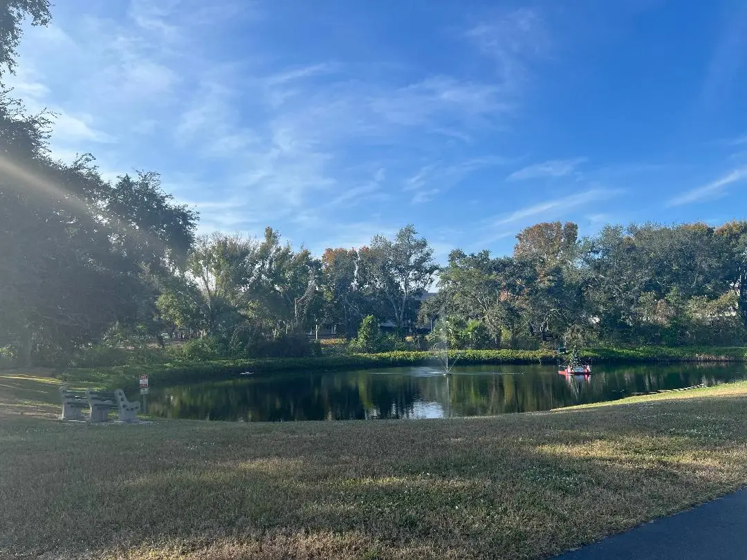 104 1st Street, Clearwater, FL 33765 - #1