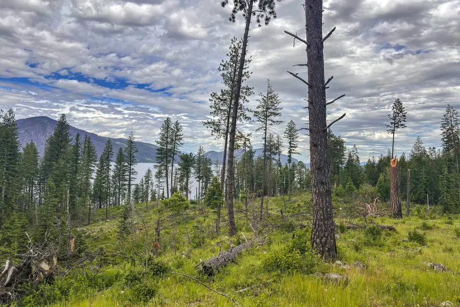 NNA Whiskey Rock Heights, Bayview, ID 83803 - #2