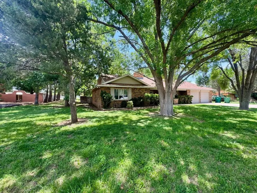 2010 Patricia Drive, Carlsbad, NM 88220 - #3