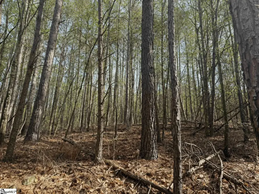 000 S Retreat Road, Westminster, SC 29693 - #2
