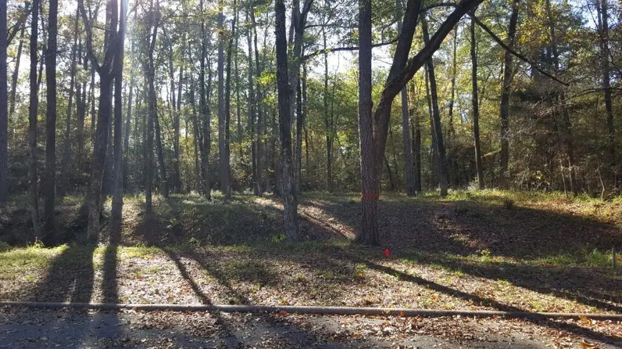 26721 E Pecan Circle, Huntsville, TX 77320 - Image #2