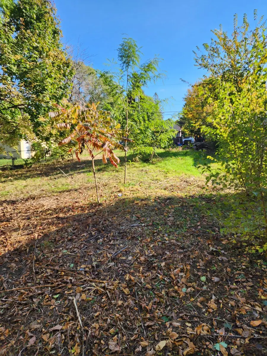 3718 Lyndale Avenue N, Minneapolis, MN 55412 - #2