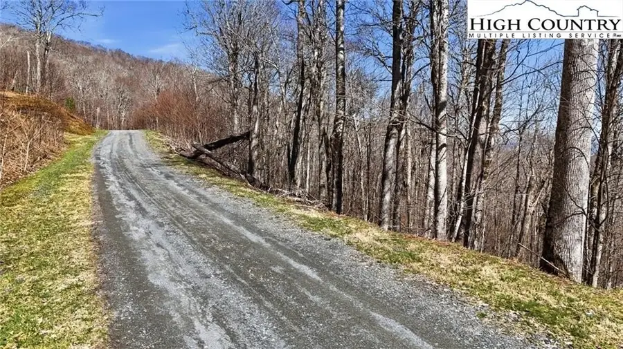 Lot 6 Chappell Farm North None N, Banner Elk, NC 28604 - #2