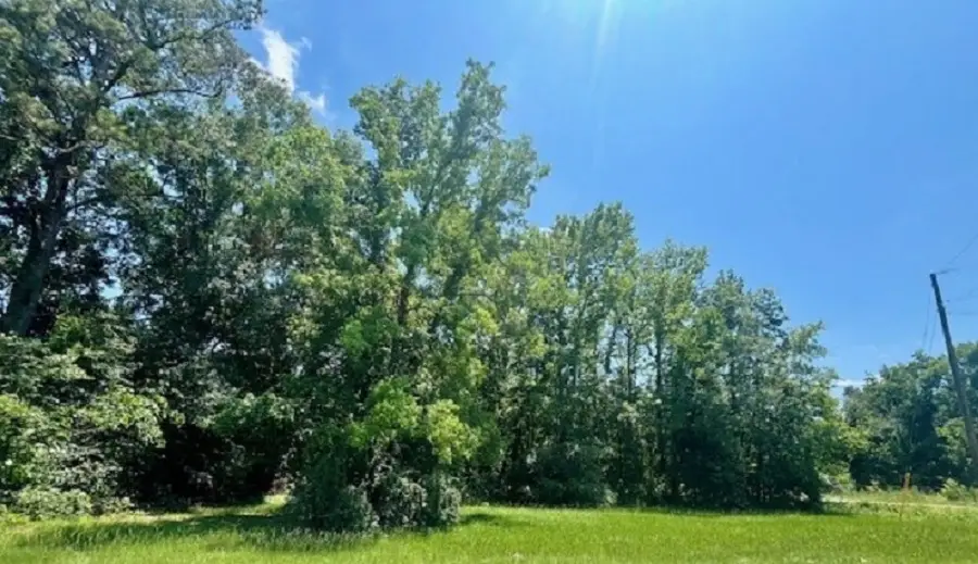 Lot 50 Hillcrest Dr, Zachary, LA 70791 - Image #3