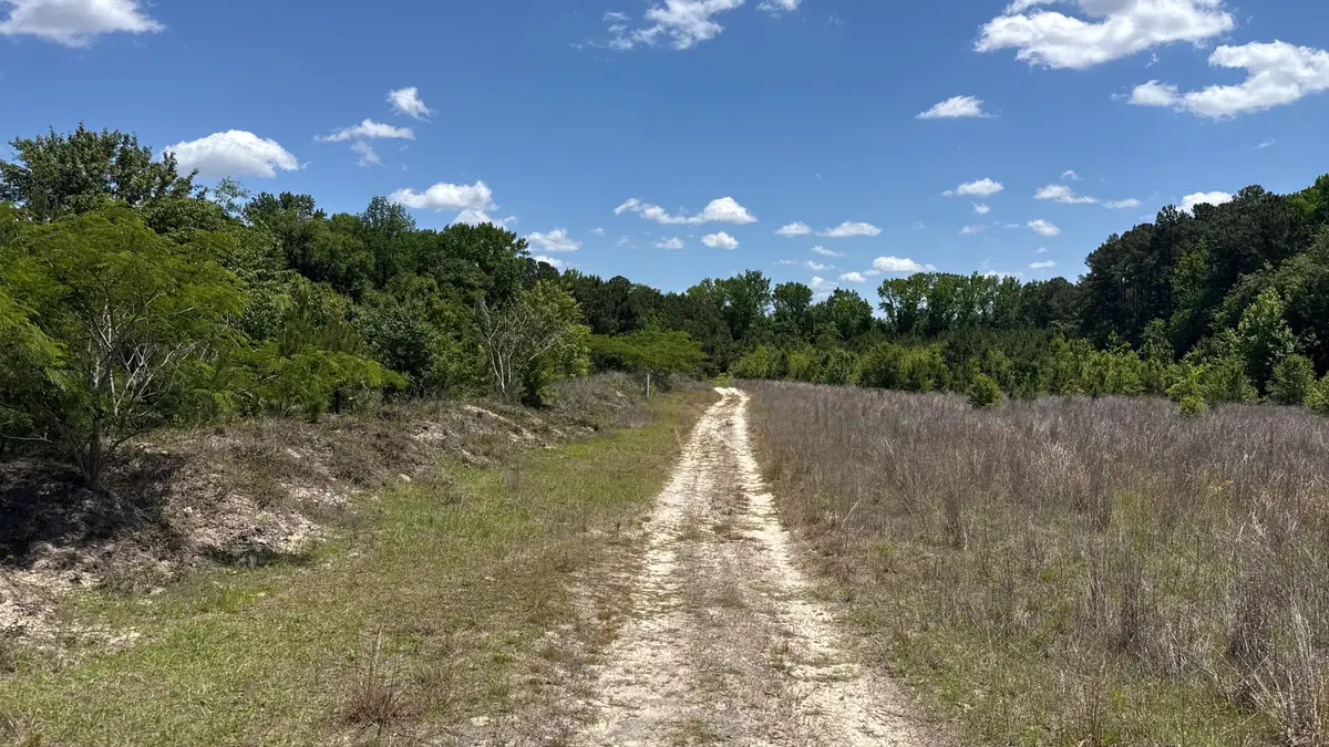 Snipes Road, Philadelphus, NC 20747 - #1