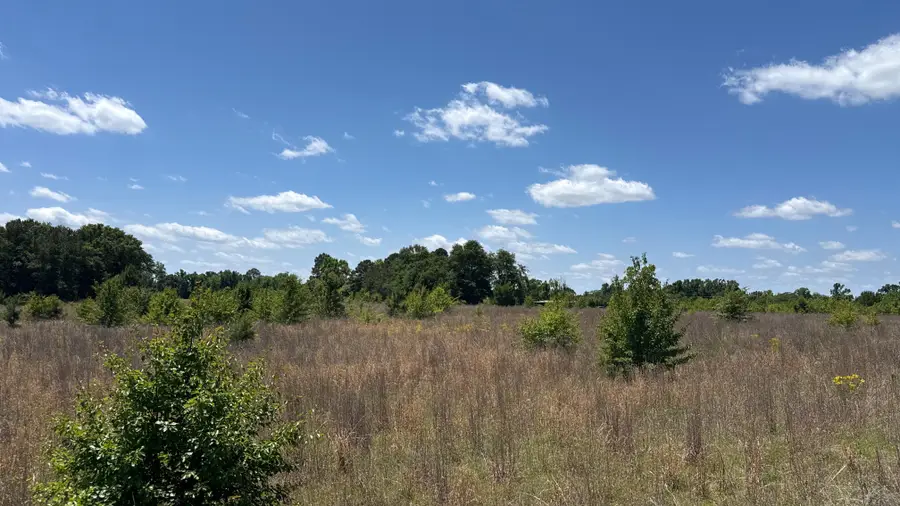 Snipes Road, Philadelphus, NC 20747 - #2