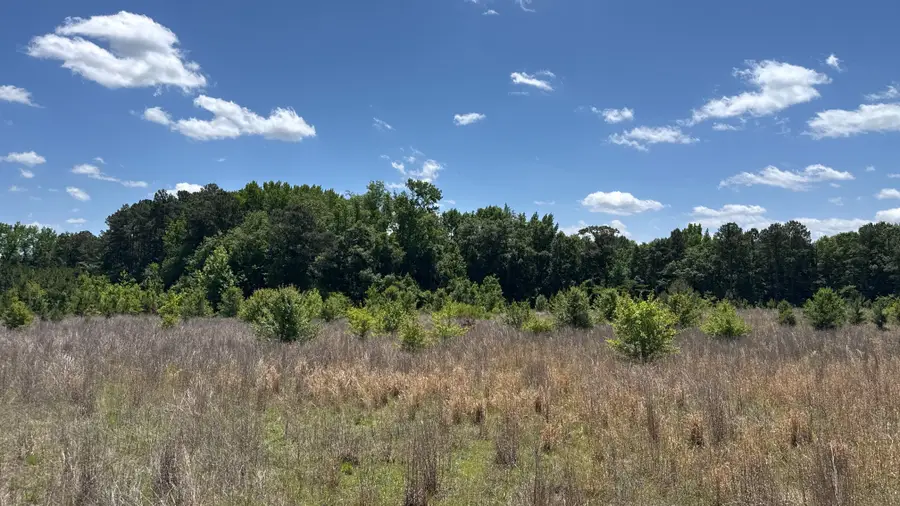 Snipes Road, Philadelphus, NC 20747 - #3