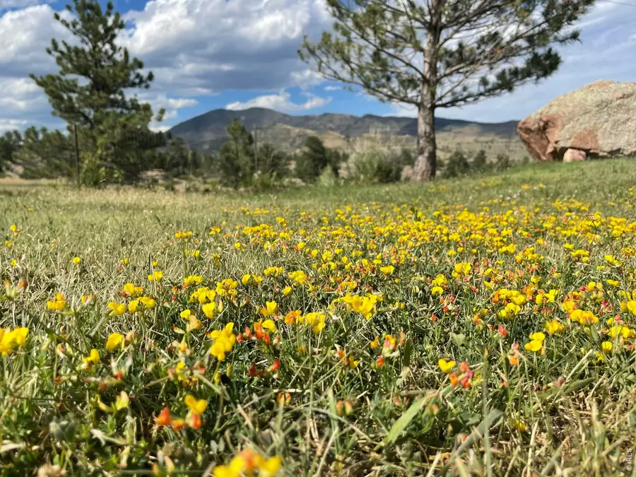 294 Wedge Rock Drive, Lyons, CO 80540 - #2
