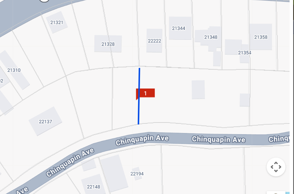 22222 Chinquapin Ave, Maurepas, LA 70449