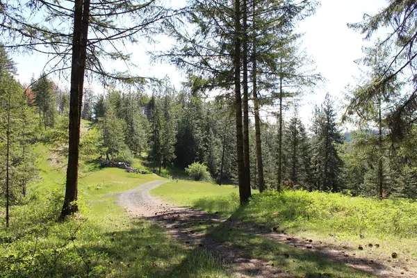 881 & 2714 S Allen Rd & E Haven Dr, Coeur d'Alene, ID 83814