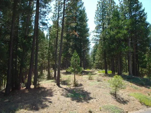 976 Moon Shadow, Portola, CA 96122