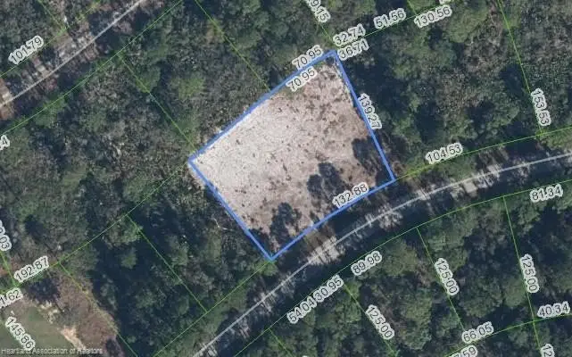 3129 Locust Avenue, Lake Placid, FL 33852 - Image #2