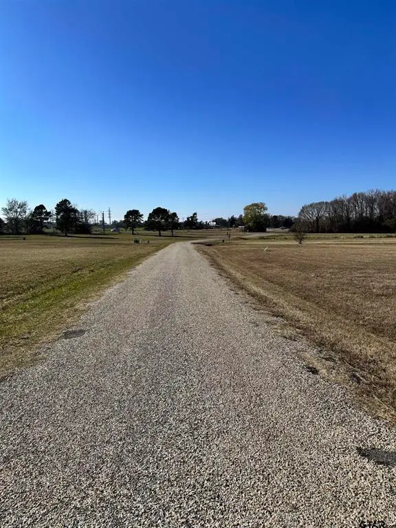0000 High Meadow Drive, Mount Vernon, TX 75457 - #3