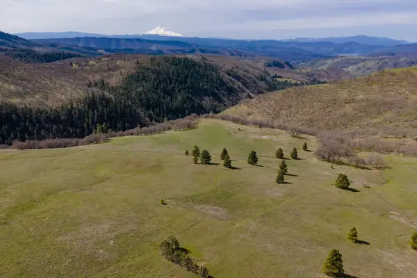 60 Hartwig Rd, Lyle, WA 98635