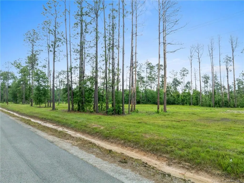 Duke Hollingsworth Rd Tract 2, Ragley, LA 70657 - Image #1