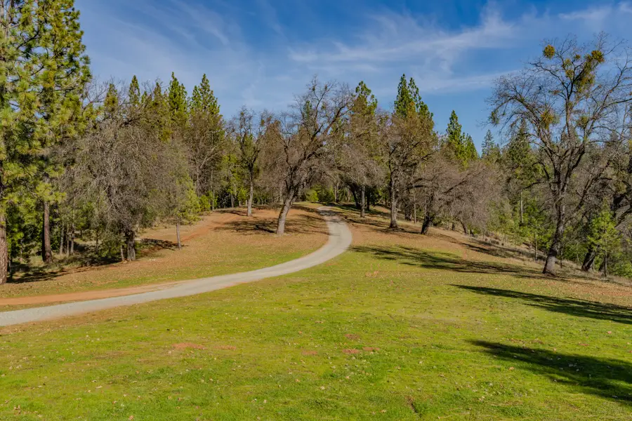7401 Schaad Road, Wilseyville, CA 95257 - #2