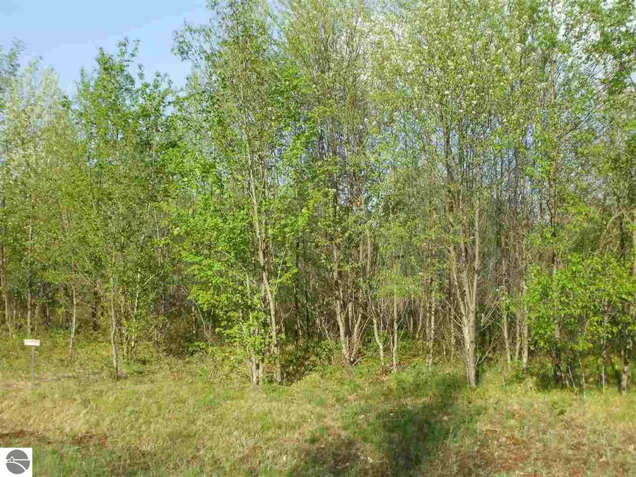 Spring Valley Drive, Cadillac, MI 49601 - Image #2