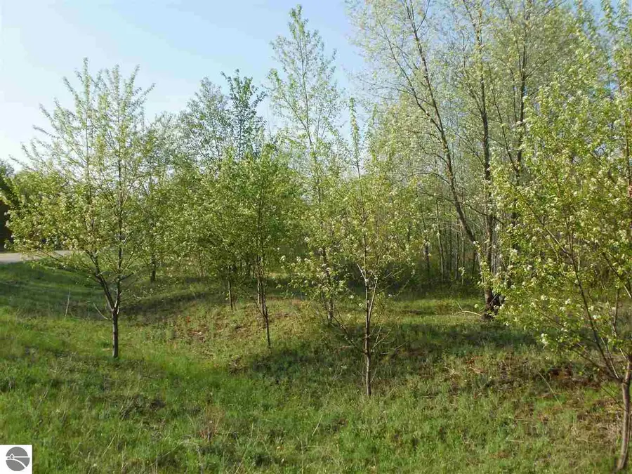 Spring Valley Drive, Cadillac, MI 49601 - Image #3