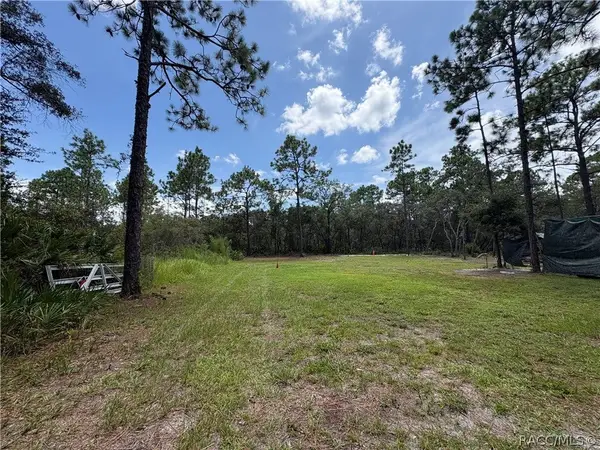 394 N Florene Point, CRYSTAL RIVER, FL 34429