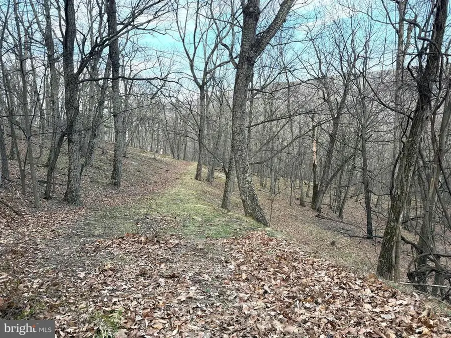 Lot 5 Preserve Rd, Maysville, WV 26833 - #2