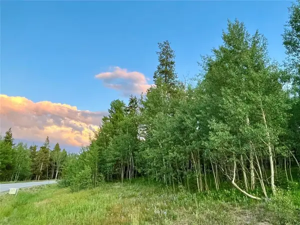 190 Easy Bend Trail, Silverthorne, CO 80498