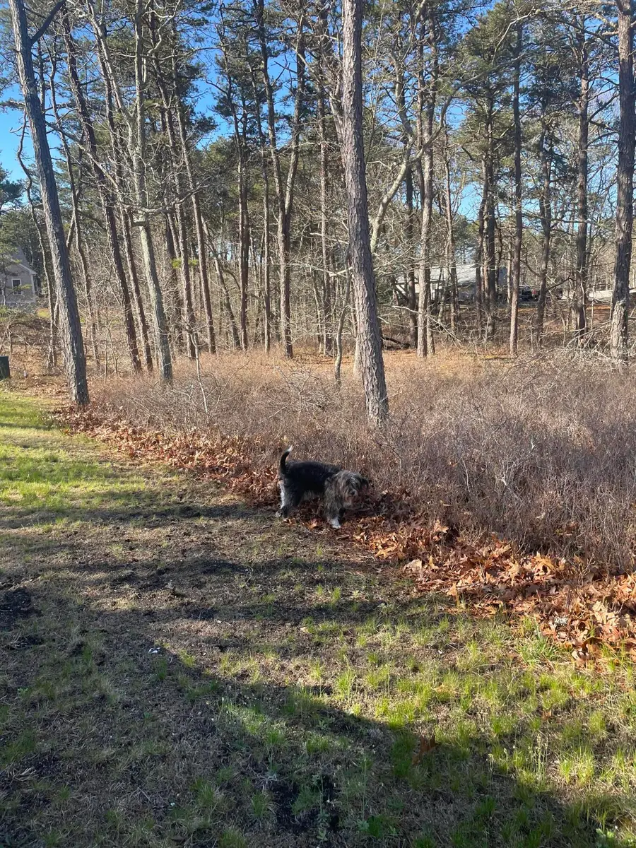 30 Sam Hollow Road, Wellfleet, MA 02667 - #2