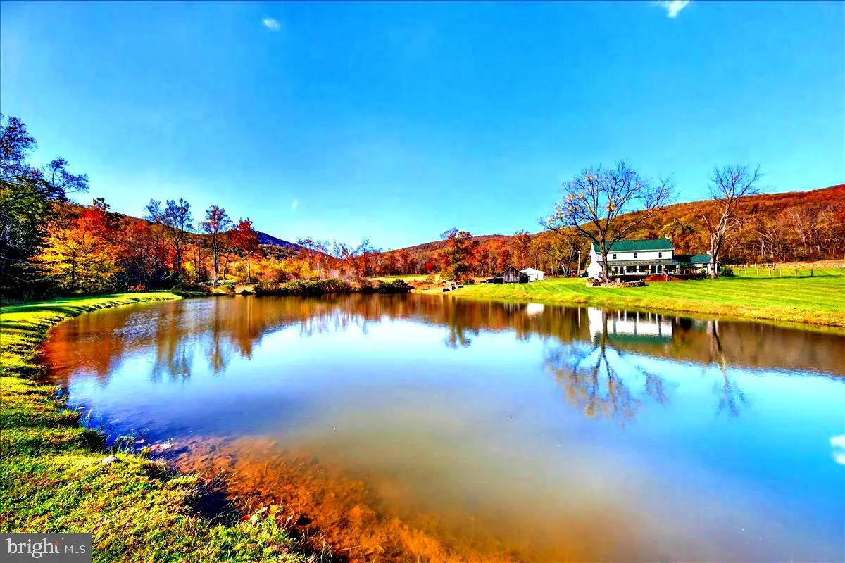 290 Riley Hollow Rd, Huntly, VA  - #1