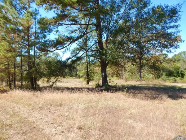 TBD 2 ACRES HWY 155, Gilmer, TX 75644
