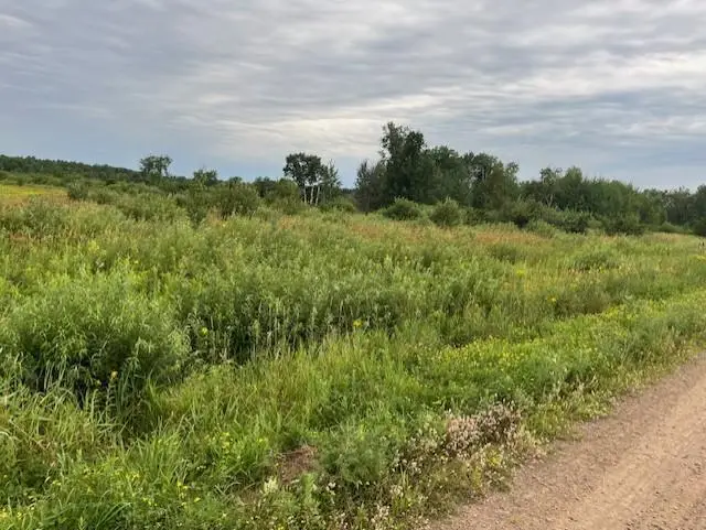 2356 Olympic Street, Brook Park, MN 55007 - #2