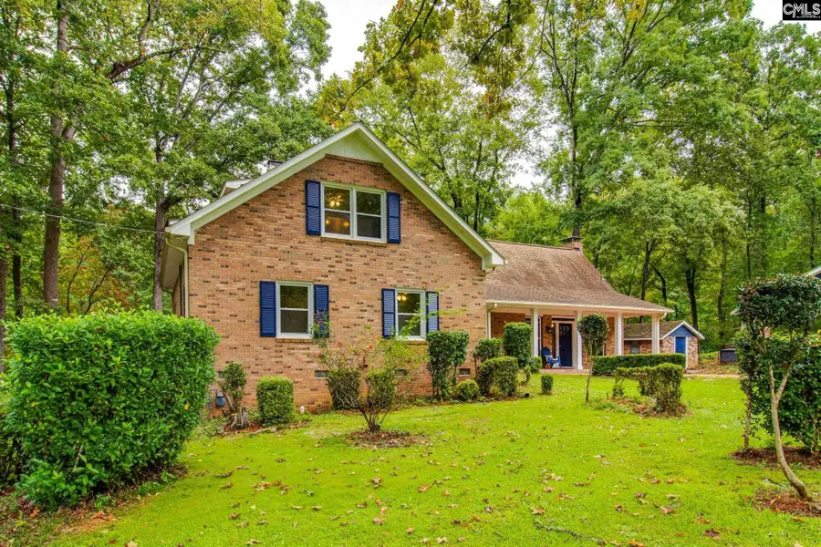 130 Pinewood Drive, Chapin, SC 29036 - #3