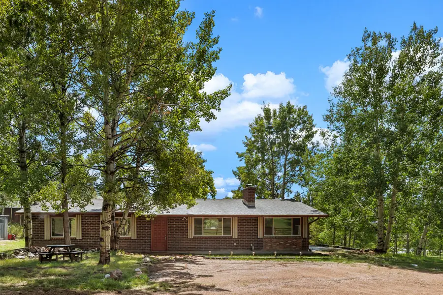 1035 Park View Road, Woodland Park, CO 80863 - #2
