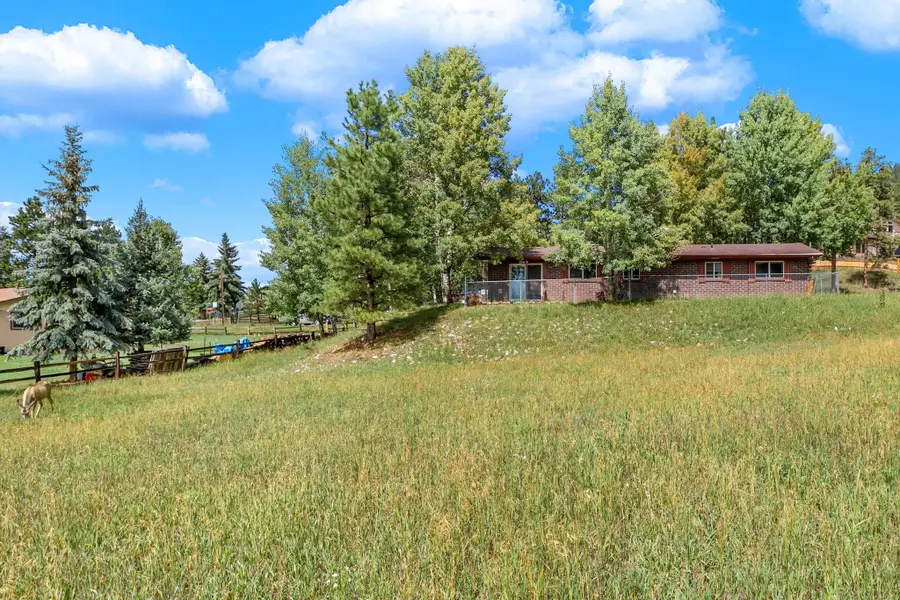 1035 Park View Road, Woodland Park, CO 80863 - #3