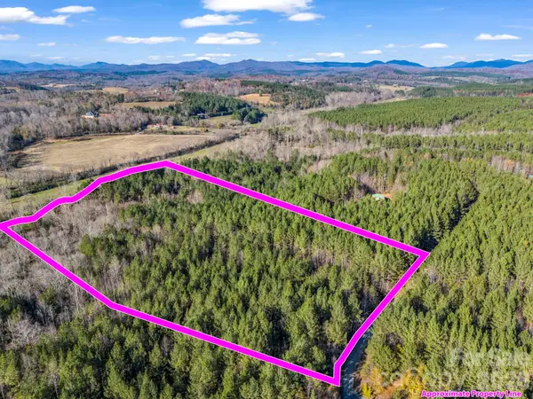 0 Farmer Johns Trail #9, Rutherfordton, NC 28139